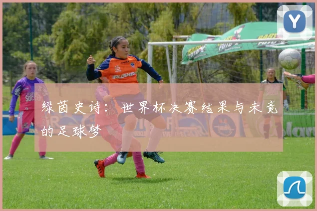 绿茵史诗:世界杯决赛结果与未竟的足球梦
