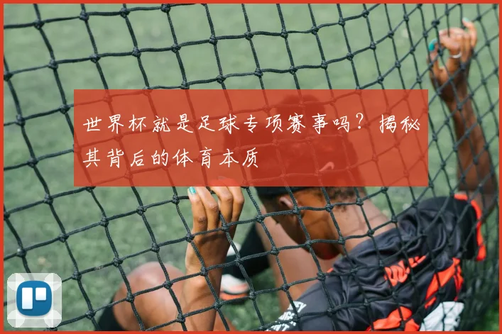世界杯就是足球专项赛事吗？揭秘其背后的体育本质