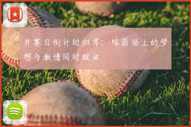 开赛日倒计时归零:绿茵场上的梦想与激情同时绽放