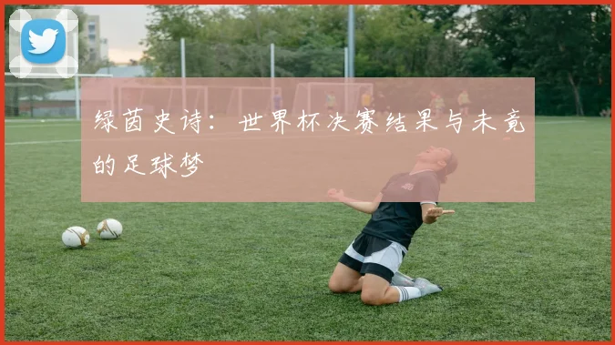 绿茵史诗：世界杯决赛结果与未竟的足球梦