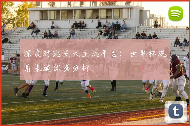 深度对比五大主流平台：世界杯观看渠道优劣分析