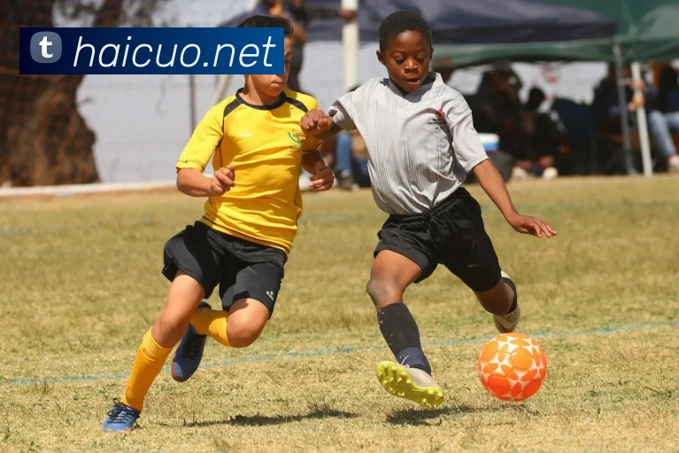 半岛平台发展历程